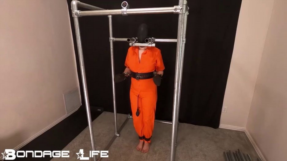 Bondage Life – Gimp Prisoner – 9/1/2026 – Rachel Greyhound